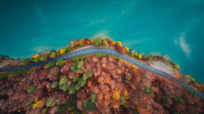 属猪男属鼠女配对 男猪女鼠相配吗婚姻