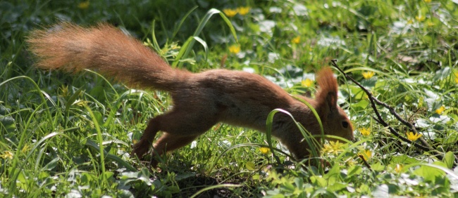 1976年属龙男在2024年运势 76年属龙男性2024年运势及运程