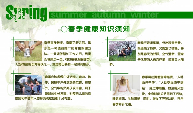 属猴人2024年运势 属猴事业权力提升