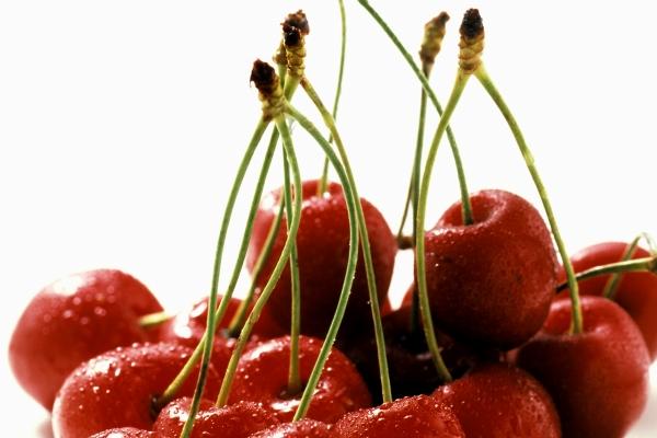 女属兔男属鸡婚姻如何 属鸡女和属兔男合不合