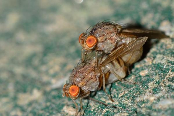 仙指阁运势 十二生肖周运详解2024.7.15-7.21