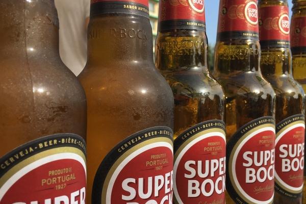 猪和猪在一起事业旺吗 猪和猪运势合财吗