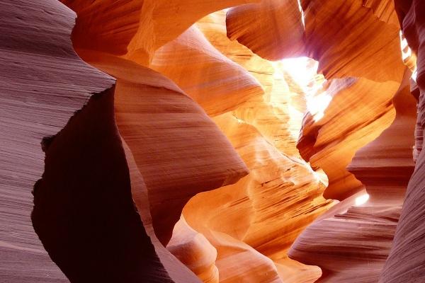 仙指阁运势 十二生肖周运详解2024.7.22-7.28