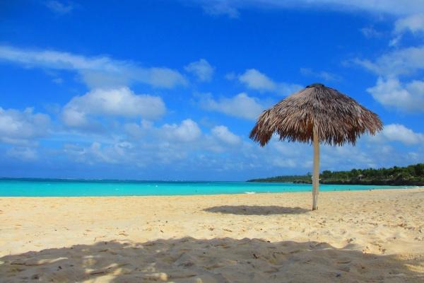 第一运程 2024年8月5日十二生肖运势解析