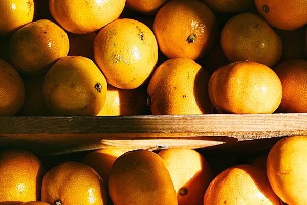 第一运程 2024年8月8日十二生肖运势解析