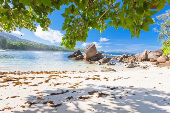 仙指阁运势 十二生肖一周运势2024.8.5-8.11