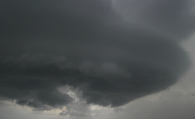 第一运程 2024年十二生肖周运8.12-8.18