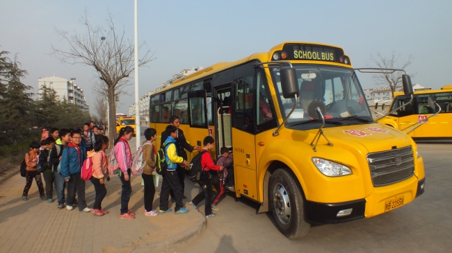 反应迟钝的生肖 智商一般的生肖