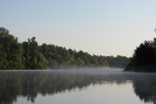 属相兔和虎相克吗 属兔人和属虎人的不同关系分析