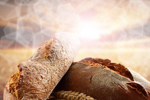 犯太岁生肖2024年 2024年太岁犯什么属相