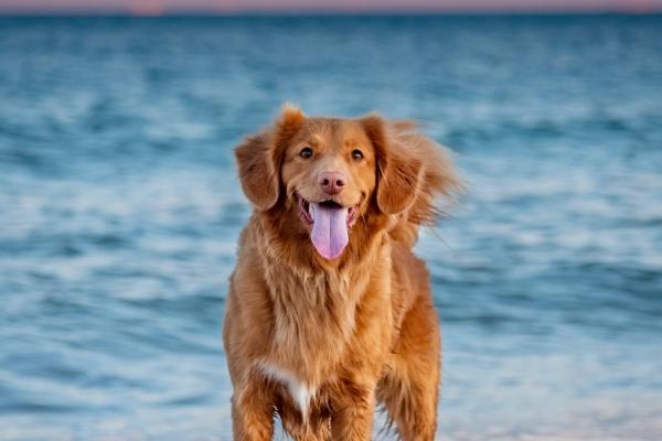 2024今年必定破财的生肖 流年财运不利的生肖