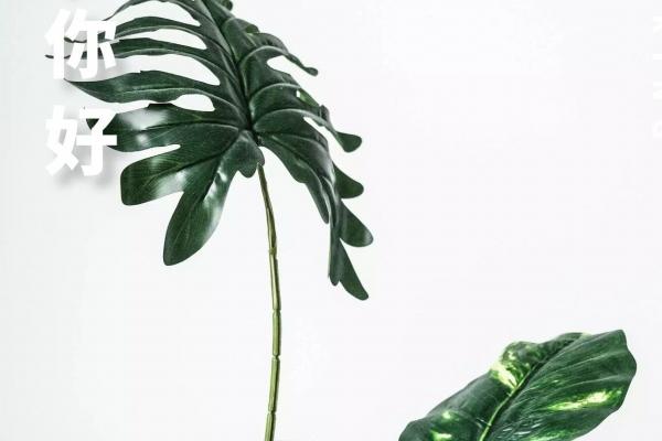 梦到水壶漏水有什么预兆