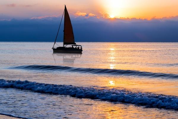 属虎男为什么喜欢属猪女呢