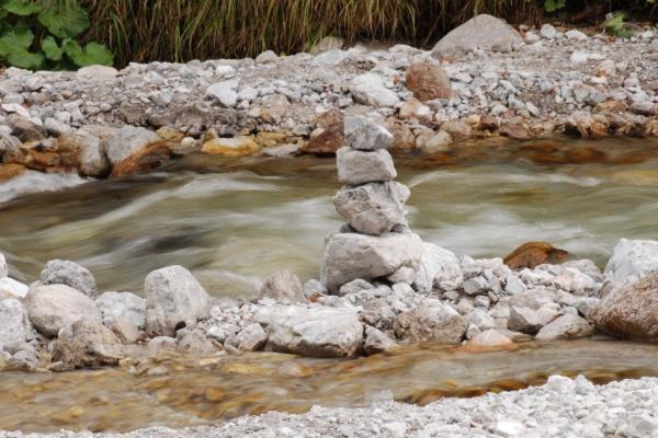 12生肖今日运势详解（2025.2.5）