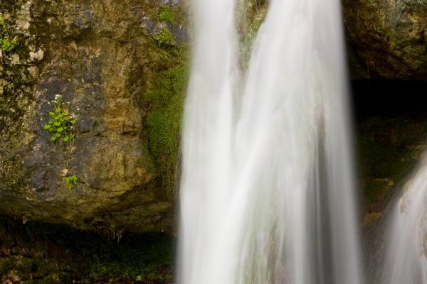 2025年3月27日十二生肖运势每日播报