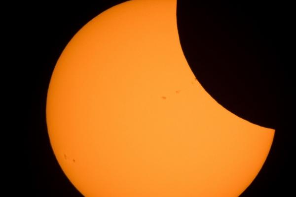 2025年3月23日十二生肖运势每日播报