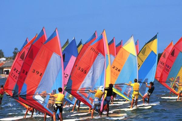 兔和鸡的婚姻能过一辈子吗