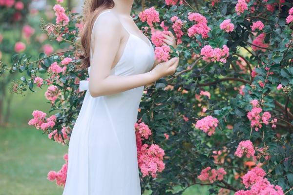 2025年2月26日十二生肖运势每日播报