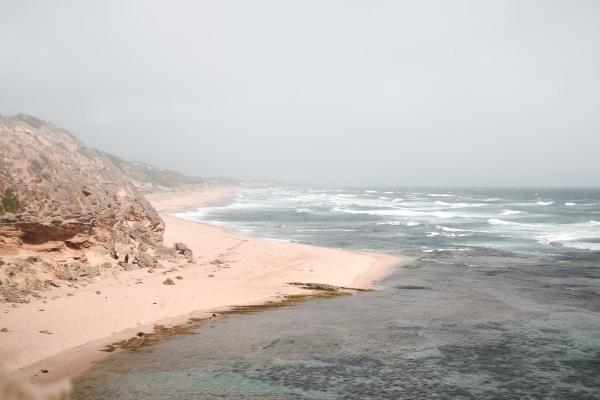 2025年1月11日十二生肖运势每日播报