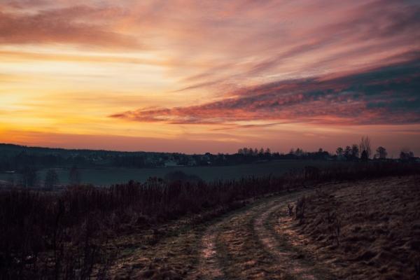 12生肖今日运势详解（2025.2.22）