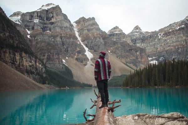 属狗人2025年1月运势