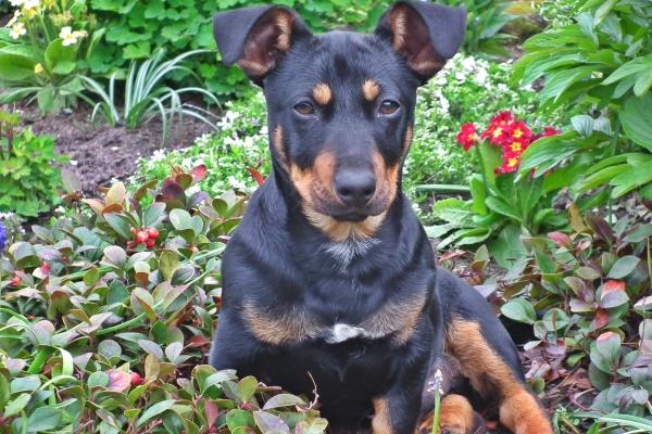 属鸡人2025年6月运势