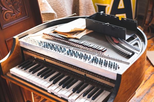 属羊人2025年3月运势