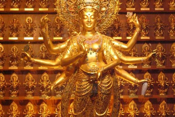 属羊人2025年9月运势