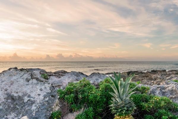 12生肖今日运势详解（2025.1.29）