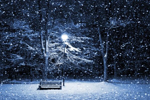 属蛇什么性格和脾气女生