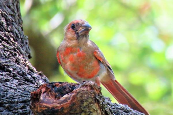 83年猪女事业贵人是谁
