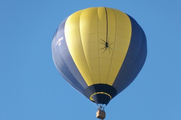 1979年属羊一生命运