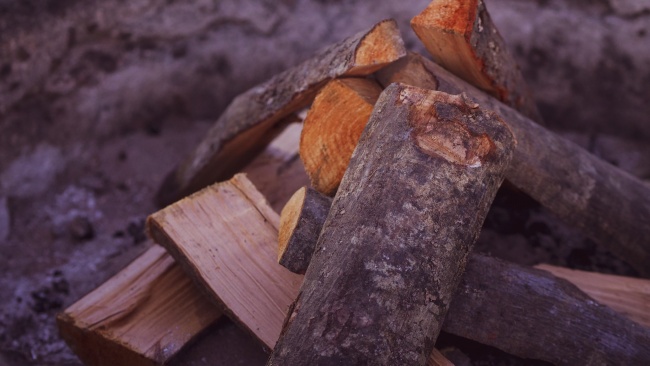 属狗2026运势及运程详解