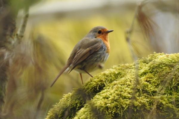 83年女在2025年运气