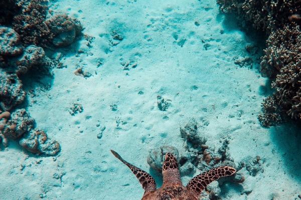 76年龙2024年有三喜