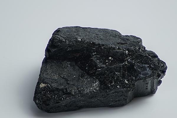 兔的克星第一名