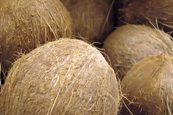 1983猪人的暗中贵人是谁