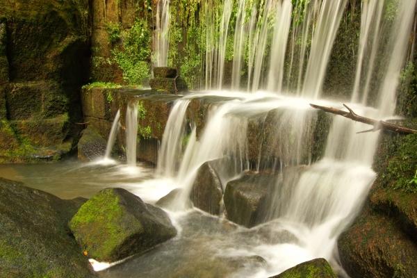 属虎的今年运气怎么样1974年