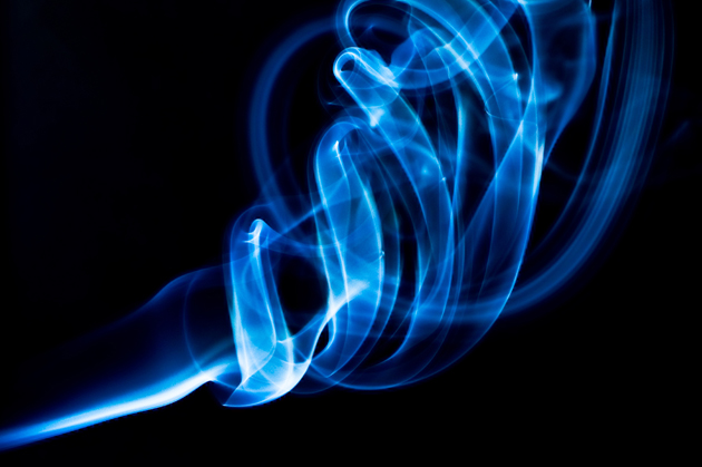 属猪的大人物一般出生在几月