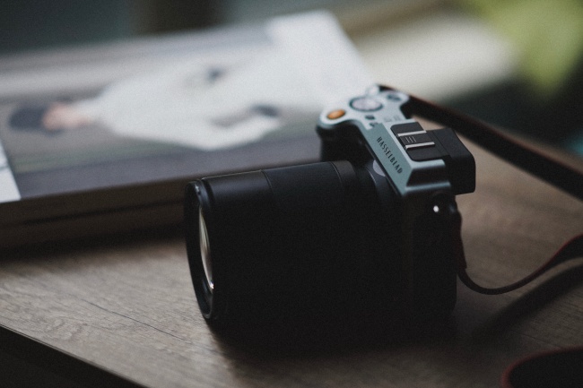 属虎未来十年运势及运程