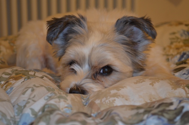 兔和猴在一起有财运吗