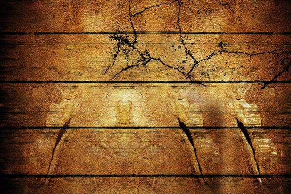 2007属猪几月出生最好