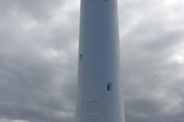 2025属狗的要躲着谁