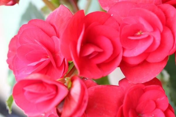 01属蛇人正缘出现时间