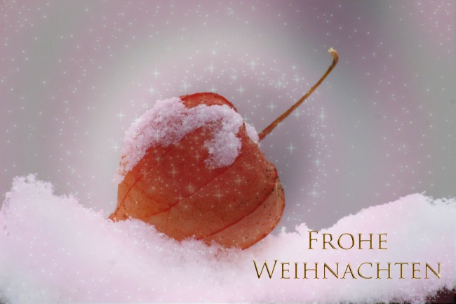 2025属鼠的要躲着谁