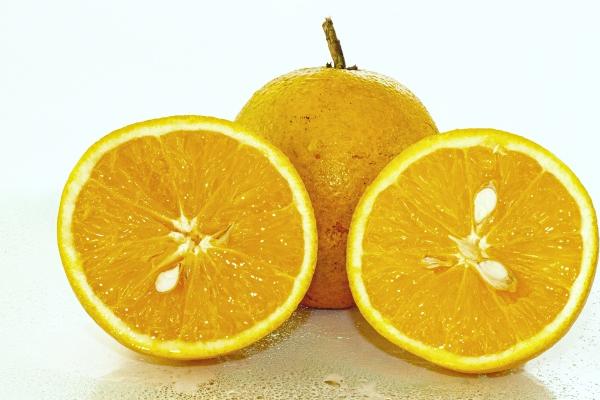 属龙人行大运的年份