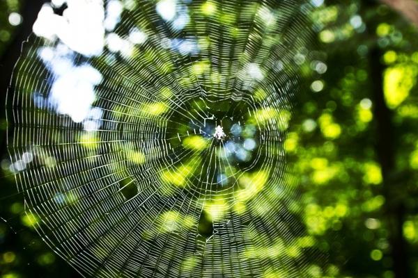 96年的鼠几点时辰好