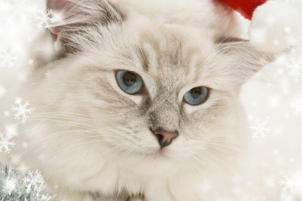 83大海水命女怎么样