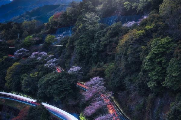 1960属鼠是金命还是水命