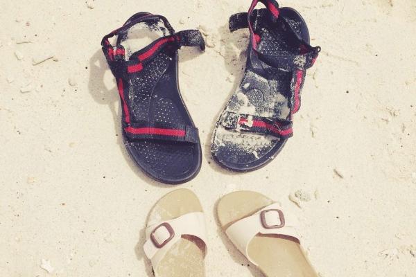 1983年属猪男2025年全年运势